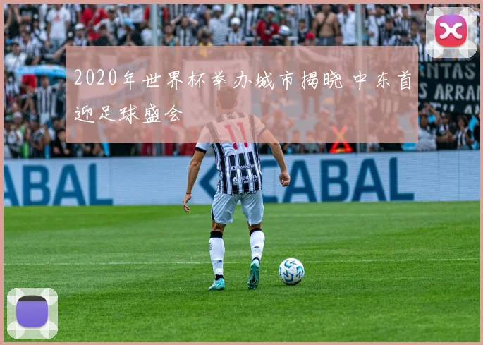 2020年世界杯举办城市揭晓 中东首迎足球盛会