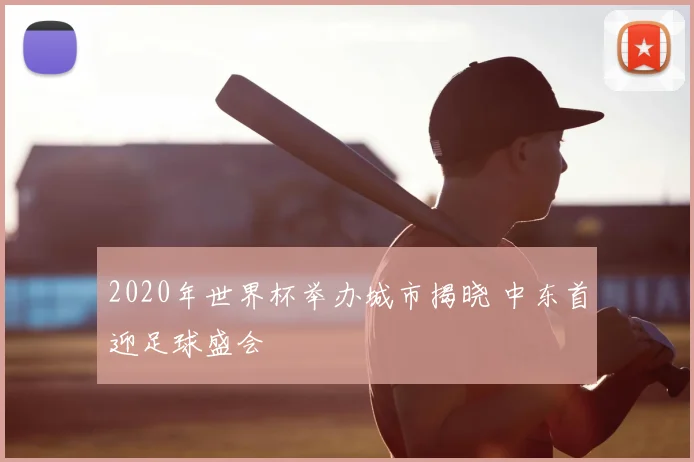 2020年世界杯举办城市揭晓 中东首迎足球盛会