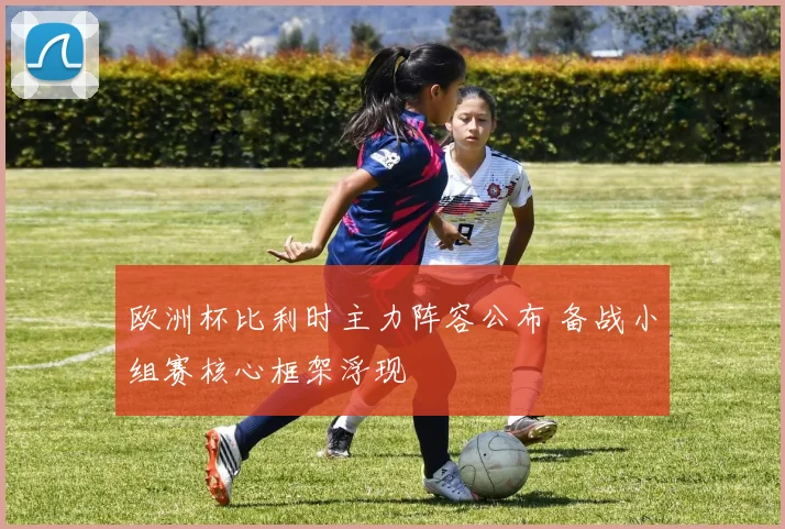 欧洲杯比利时主力阵容公布 备战小组赛核心框架浮现