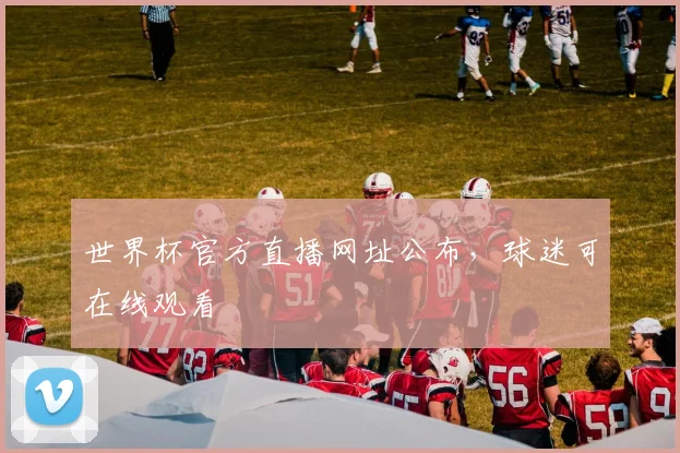 世界杯官方直播网址公布,球迷可在线观看