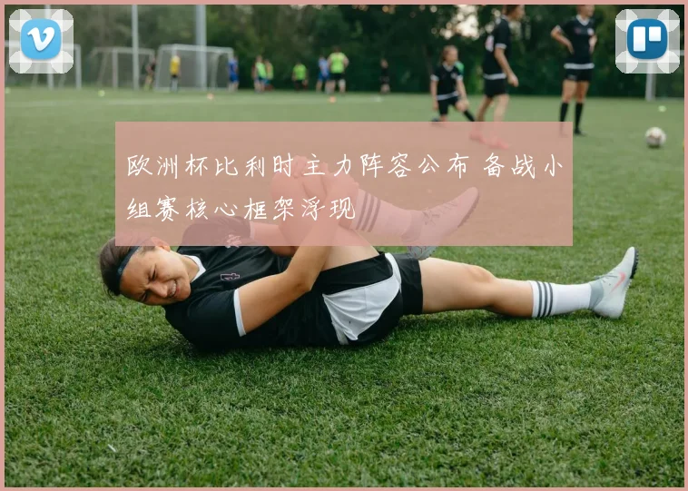 欧洲杯比利时主力阵容公布 备战小组赛核心框架浮现