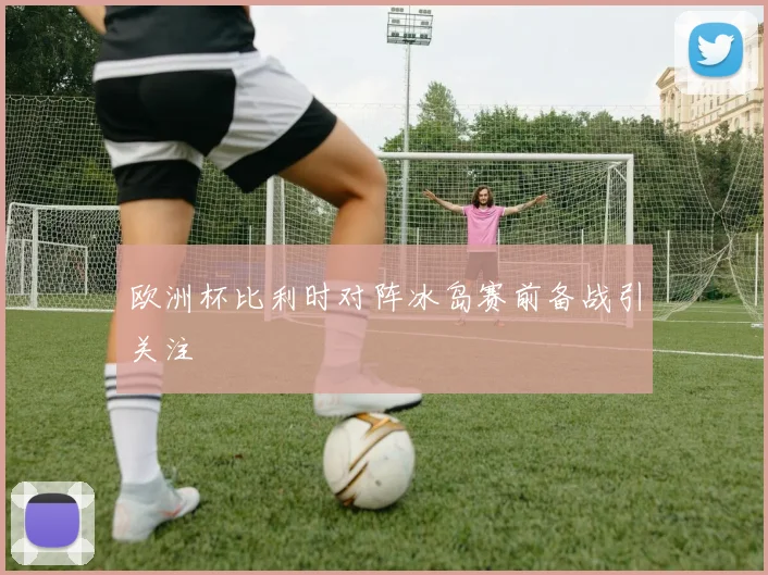 欧洲杯比利时对阵冰岛赛前备战引关注