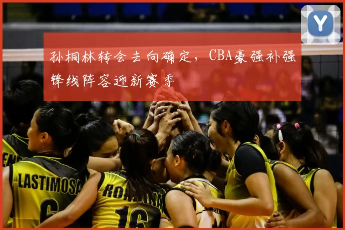 孙桐林转会去向确定，CBA豪强补强锋线阵容迎新赛季