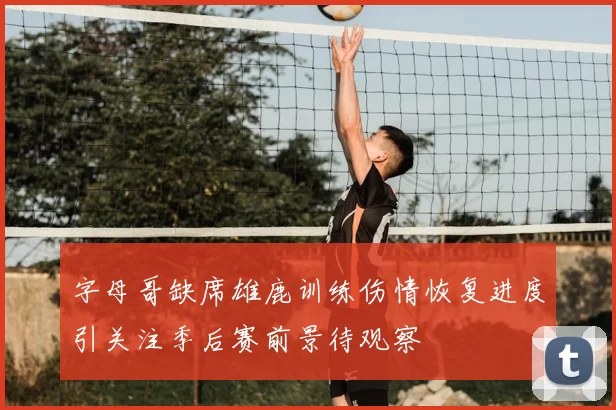 字母哥缺席雄鹿训练伤情恢复进度引关注季后赛前景待观察