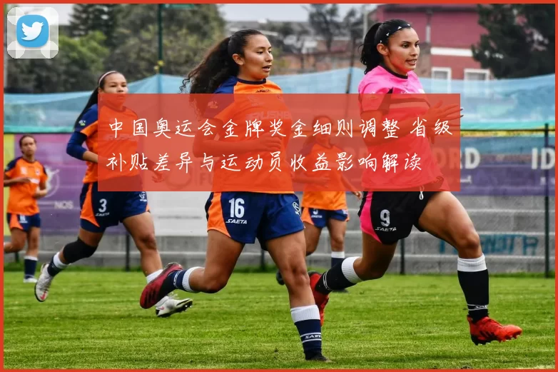 中国奥运会金牌奖金细则调整 省级补贴差异与运动员收益影响解读