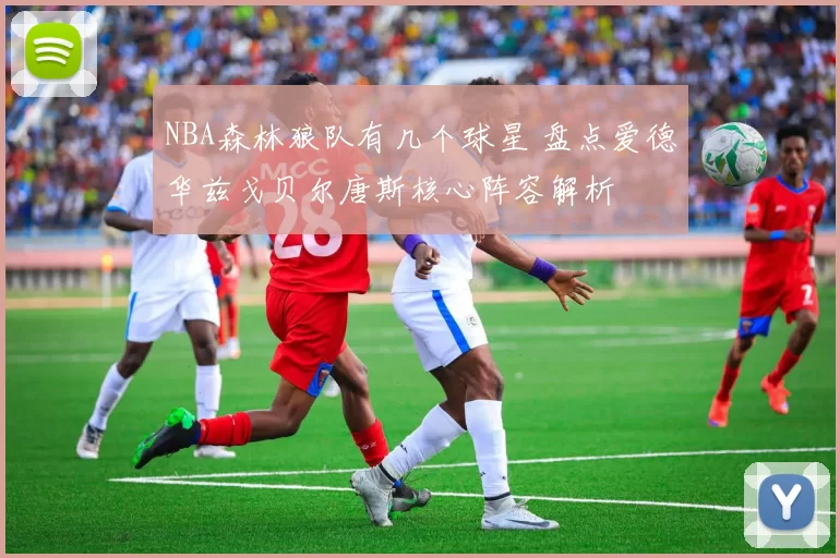 NBA森林狼队有几个球星 盘点爱德华兹戈贝尔唐斯核心阵容解析